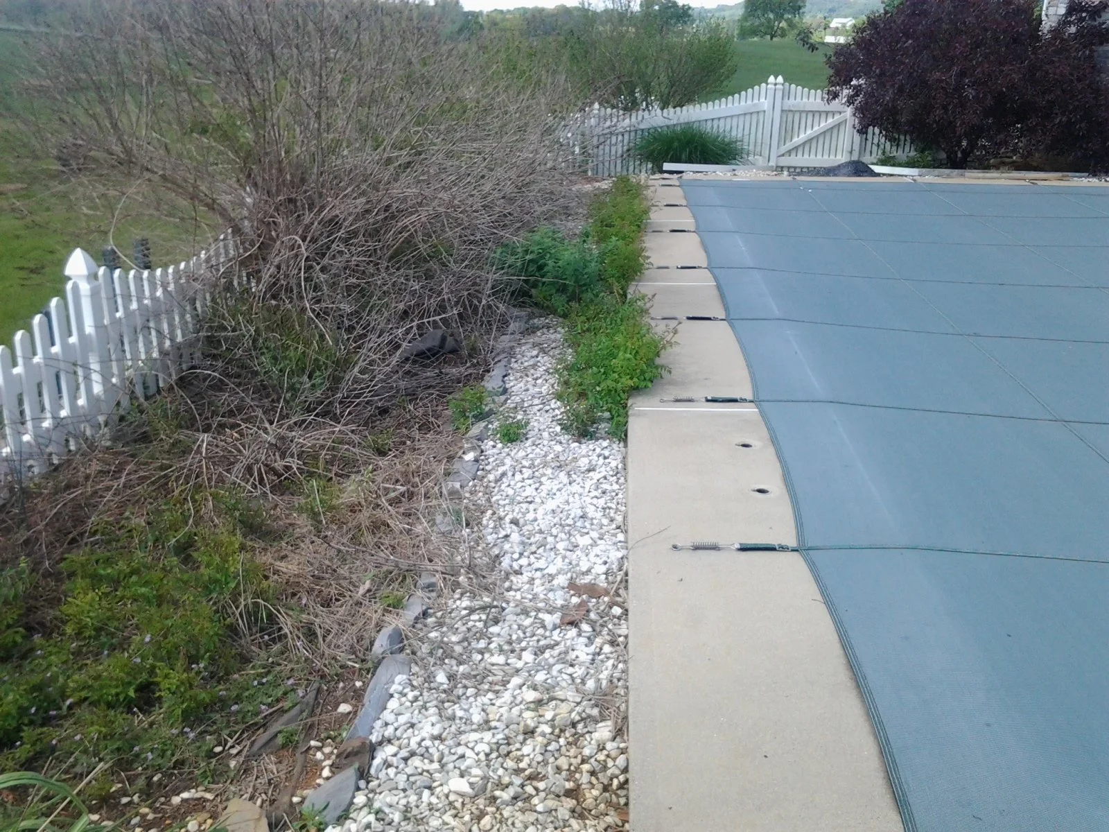concrete pool design charlottesville