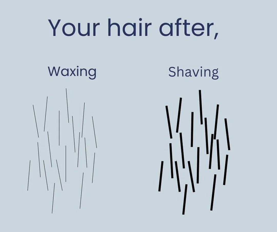 There are a lot of differences between waxing and shaving. Waxing removed the hairs from the root through repetitive tugs. Shaving is more of a trim, only removing the hairs on the surface of the skin.

Which is best for you? It depends on personal p