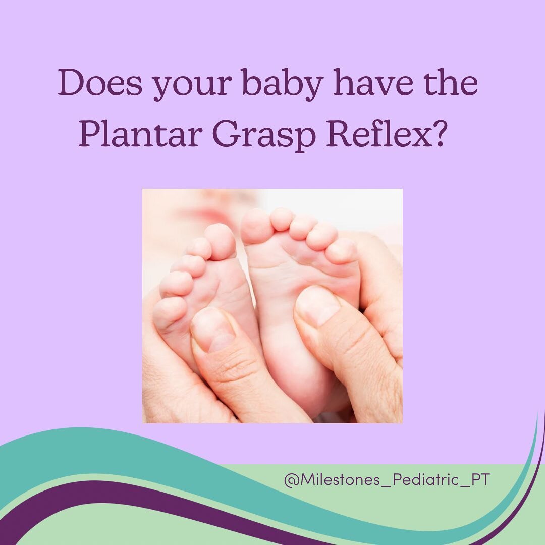🦶Baby primitive reflexes 🦶Plantar Grasp 

Primitive reflexes are involuntary movements that have survival roots for your infant. These reflexes are present from birth and are eventually replaced by skilled, purposeful movement through practice. Thi