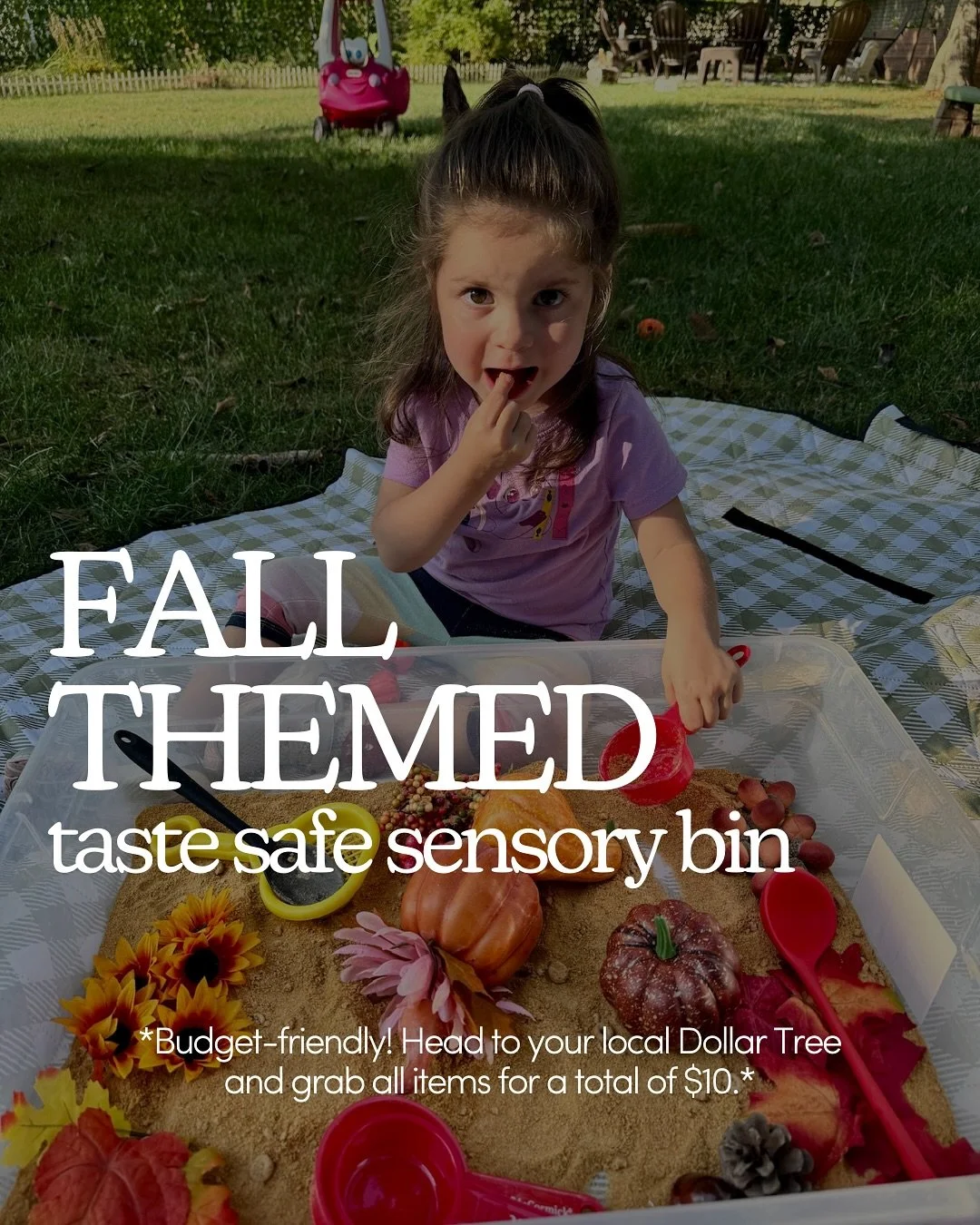 🍂 Fall Fun on a Dollar Tree Budget! 🍂⁠
⁠
Sensory play doesn&rsquo;t have to break the bank. This taste-safe fall sensory bin is easy, affordable, and a total toddler hit! With just $10, you can create a bin packed with oats, pumpkins 🎃, acorns, su