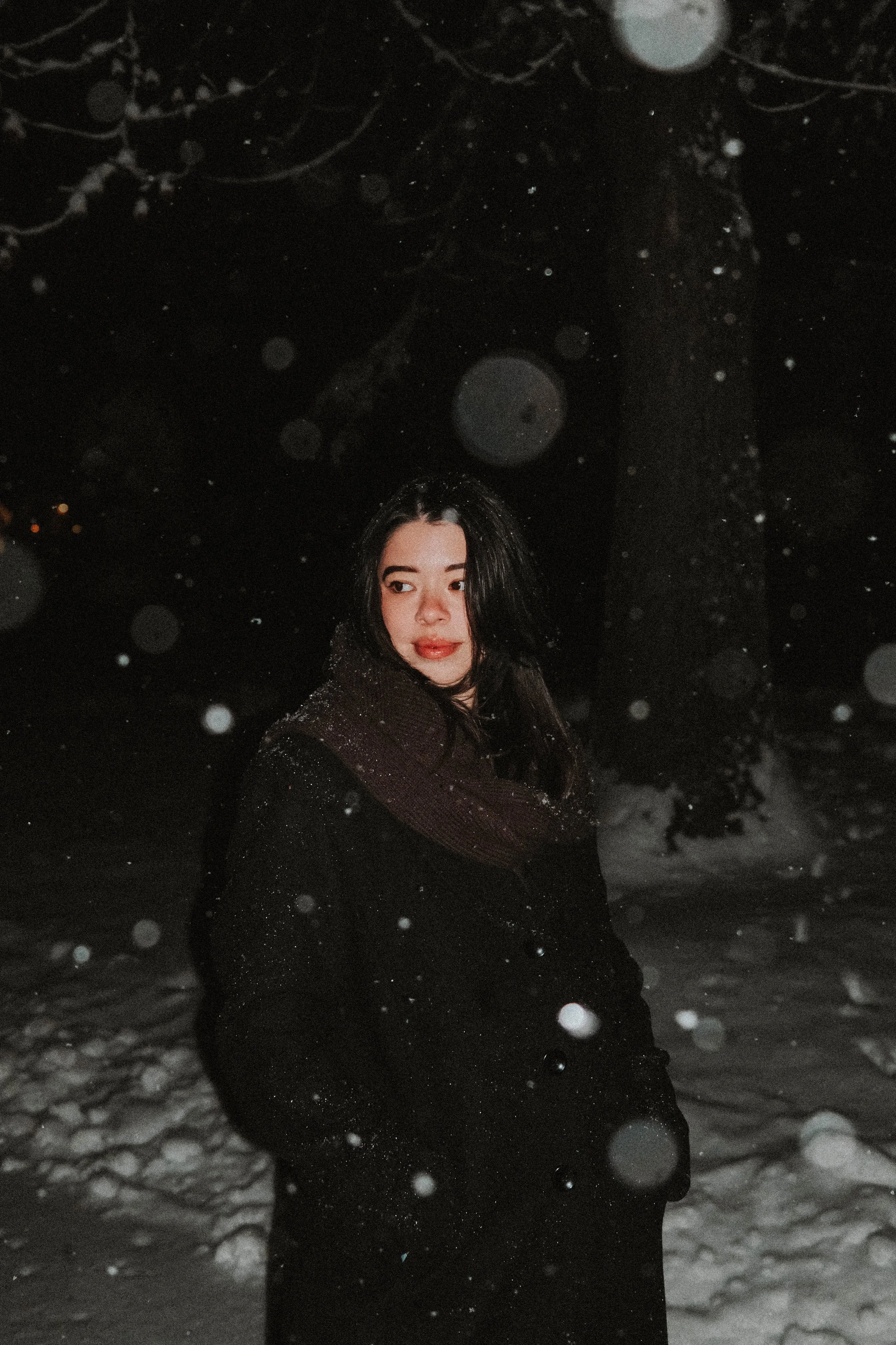 A young woman with dark hair standing in a snowy outdoor setting at night, wearing a black coat and a brown scarf, with snowflakes falling around her.
