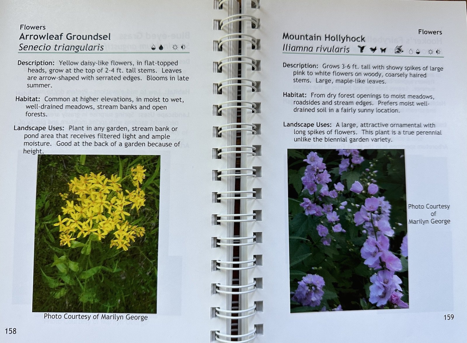 Landscaping with North Idaho Native Plants Guide — KNPS