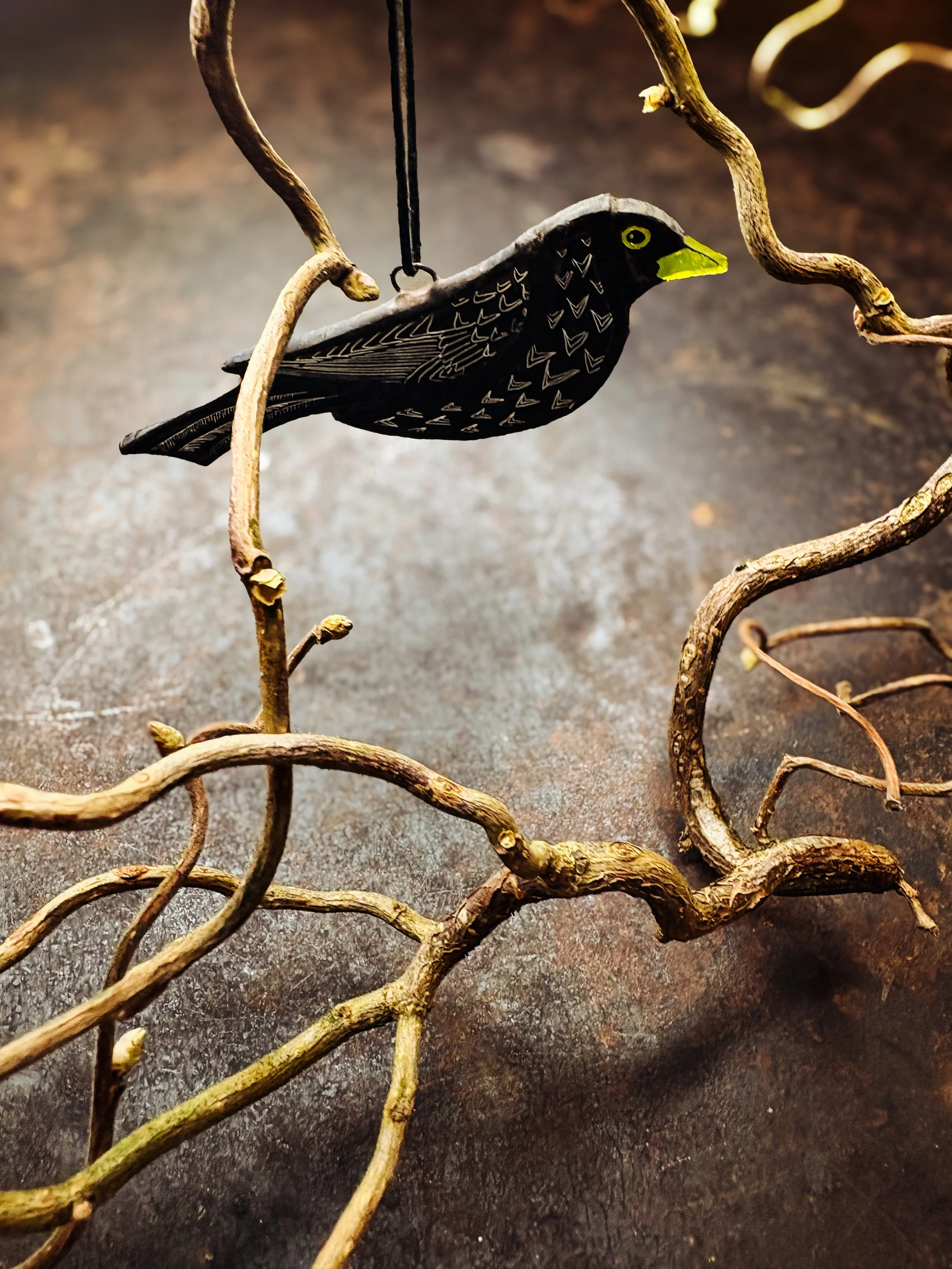 SFTS_Blackbird_lucy vasey .JPG