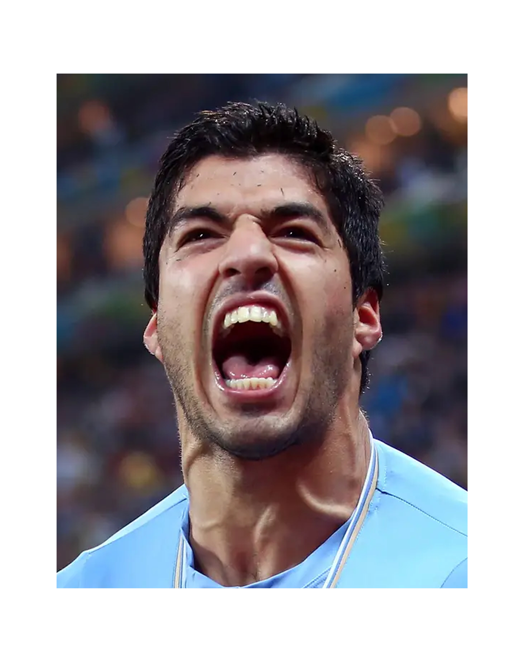 Screen Shot 2022-12-14 at 6.49.57 PM.png