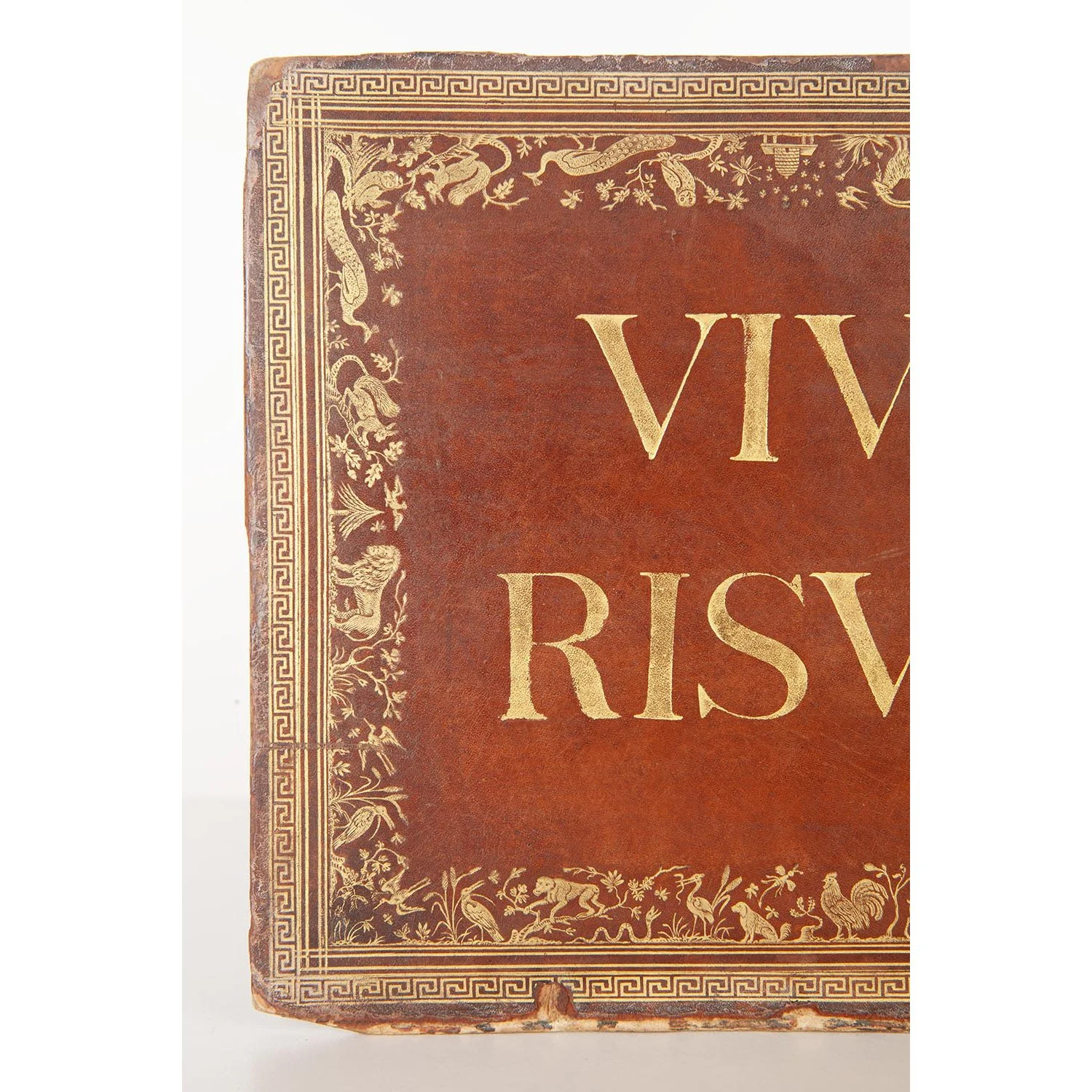 VIvamus Risvs Ama 002_w.jpg