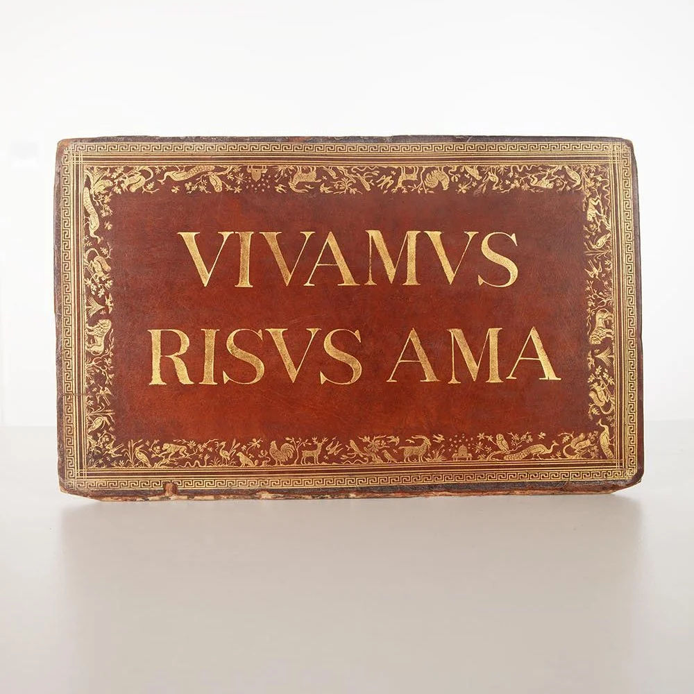 VIvamus Risvs Ama 001_w.jpg
