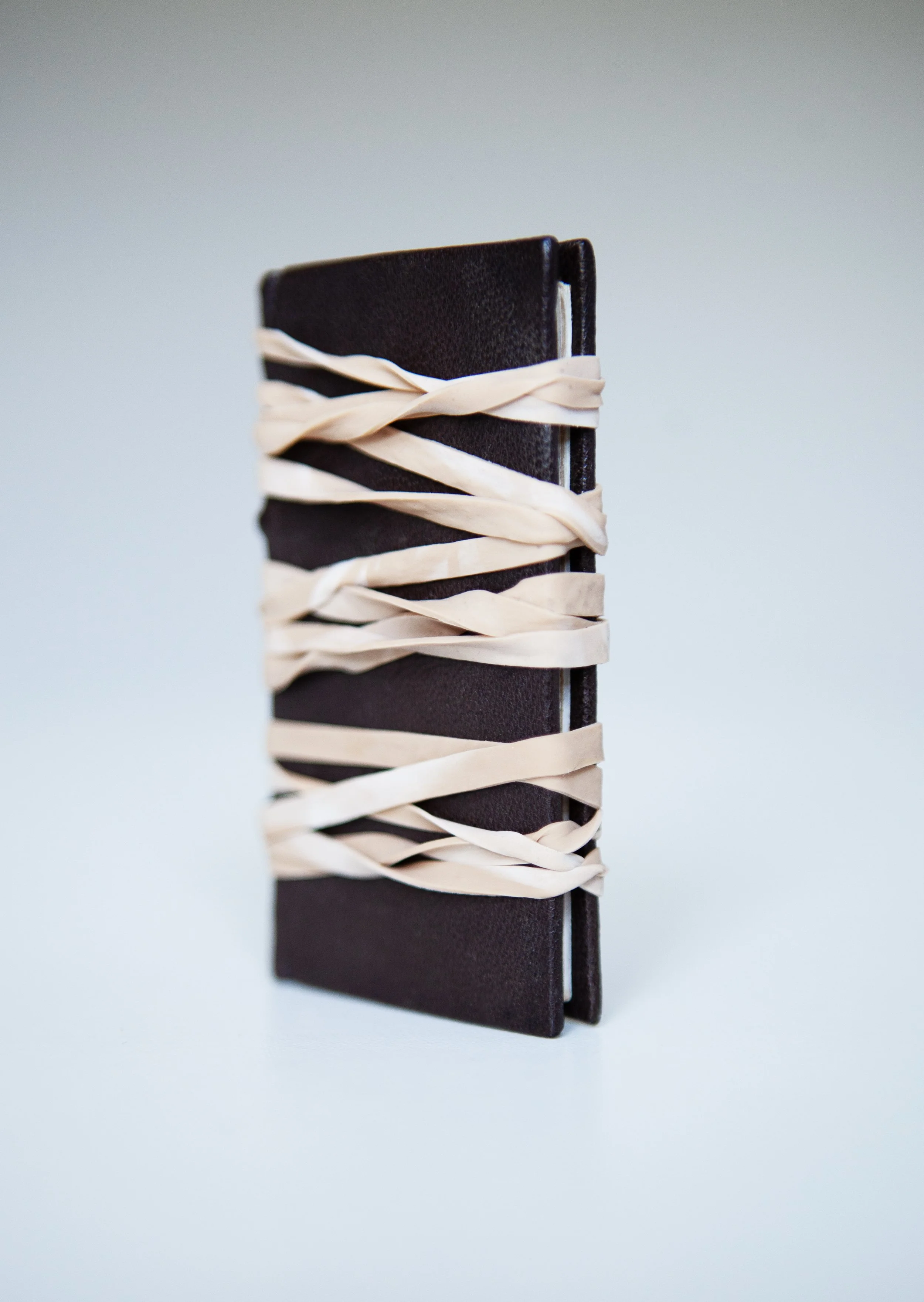 Rubber-band Book Mark Summers 003.jpg