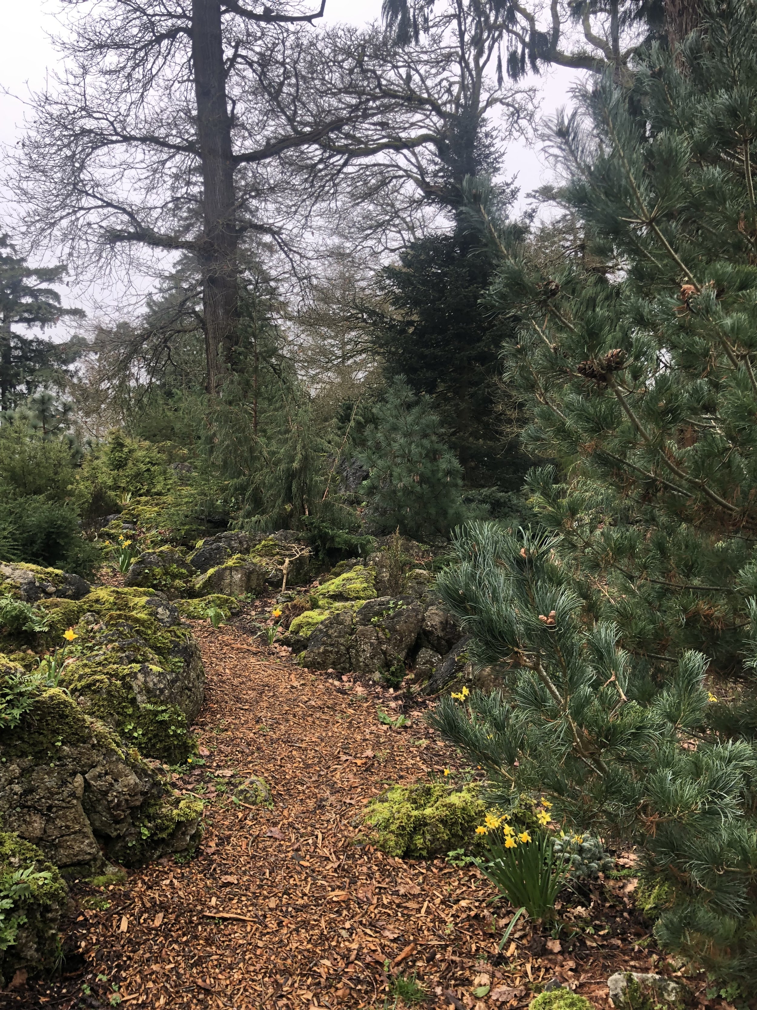 Can Yoga Therapy Help with Chronic Pain?