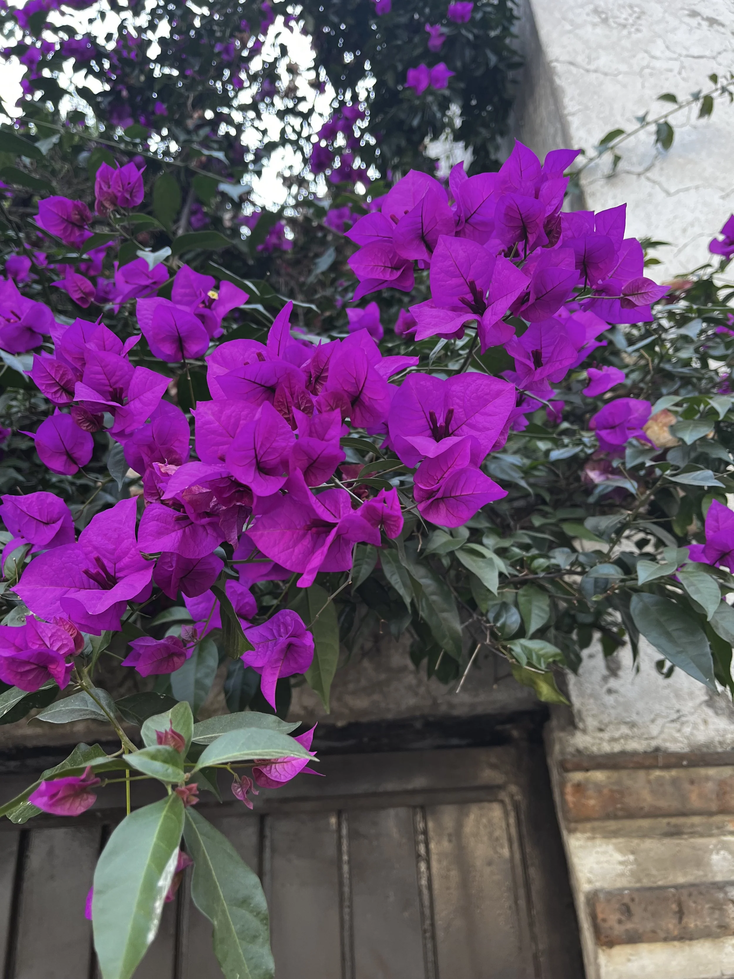 Why Breathing is such a Powerful Tool in Yoga