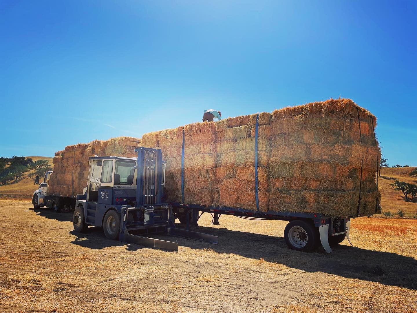 Hauling grain hay to the best customers. #syv #santaynez #santaynezvalley #coastal #hay #grainisgood #grain #oats #coastalhayandag