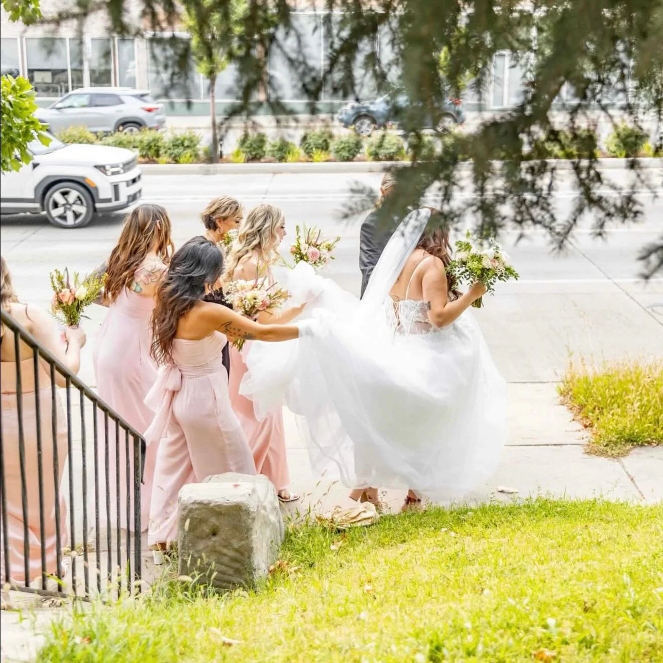 💕 The Vigils 💕