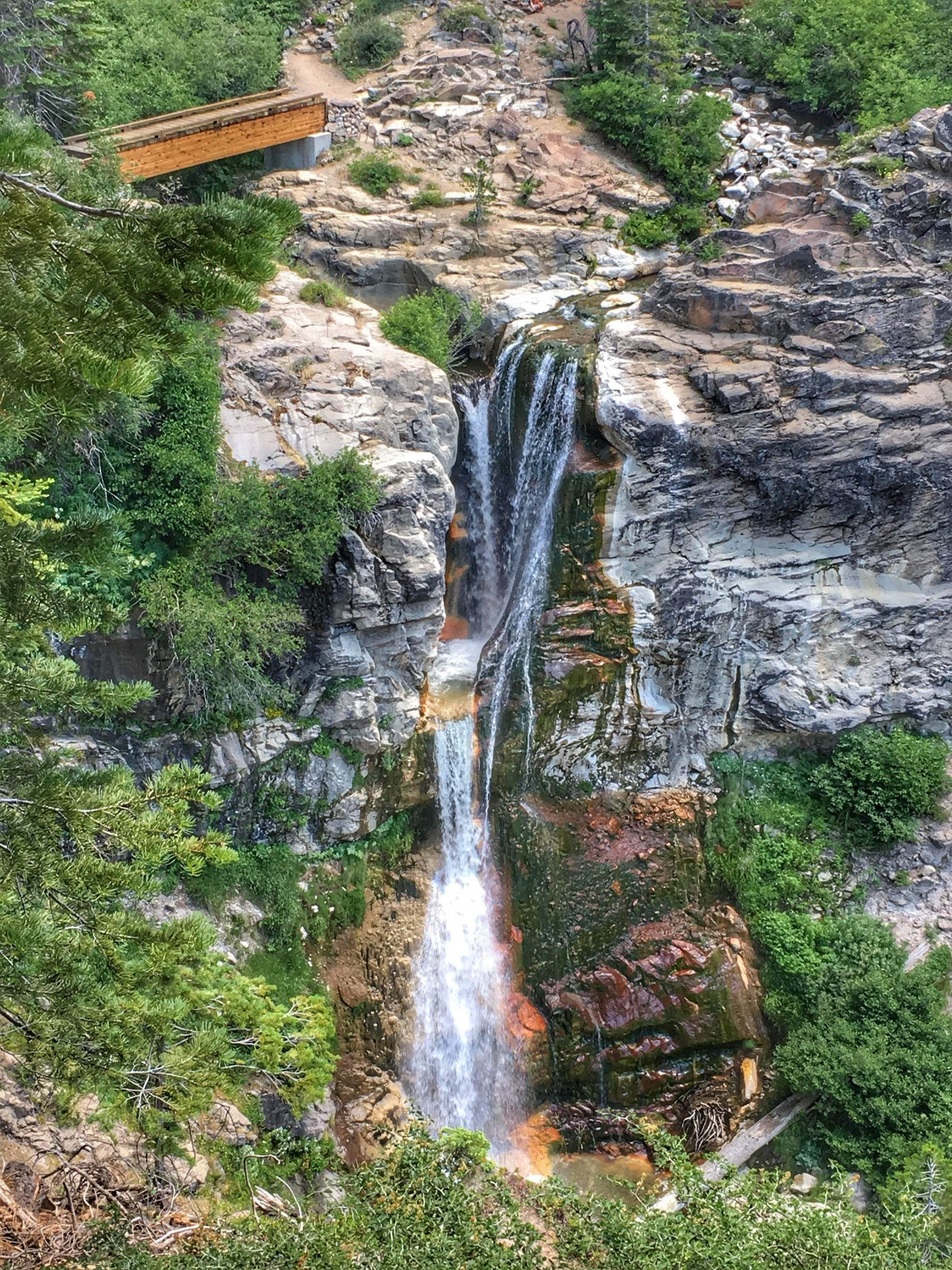 Mill Creek Falls 2018 Guided hike.jpg