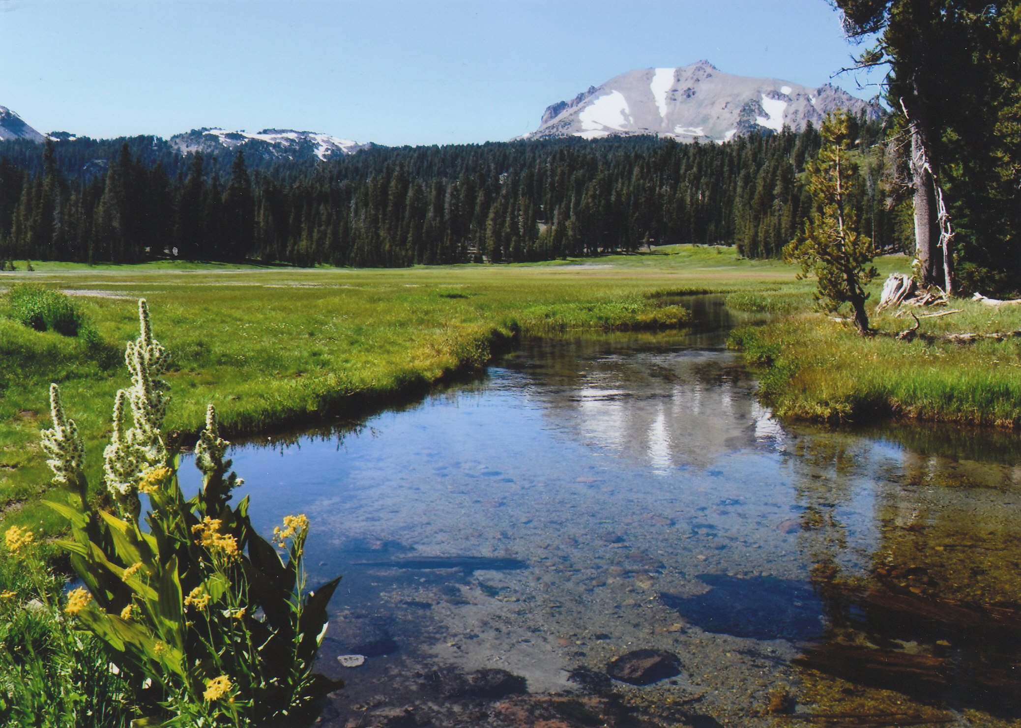 Lassen Volcanic · National Parks Conservation Association