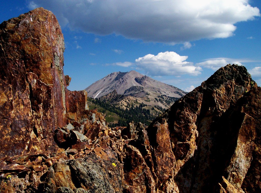 Adopt a Pika - Zion National Park Forever Project