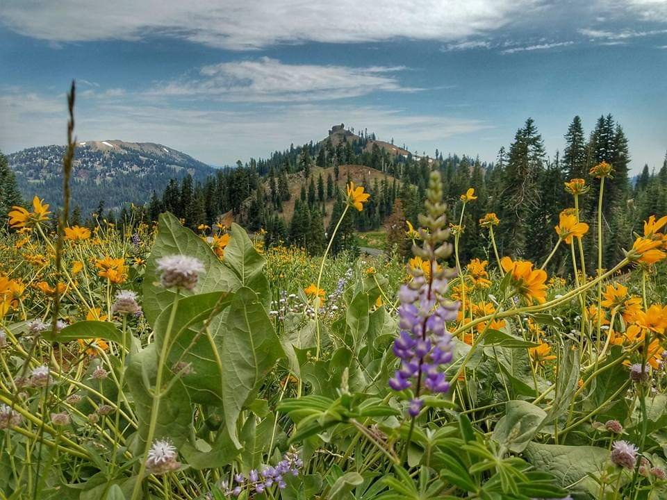 Looking out to Diamond Peak M.Allen Photo.jpg