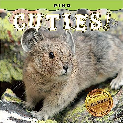 pika cuties.jpg