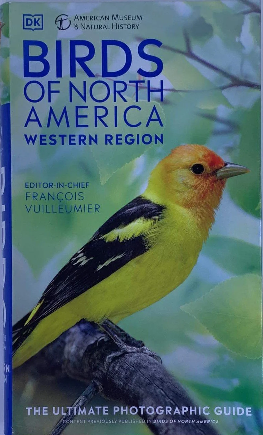Birds of North America — Lassen Association | Peak Your Curiosity