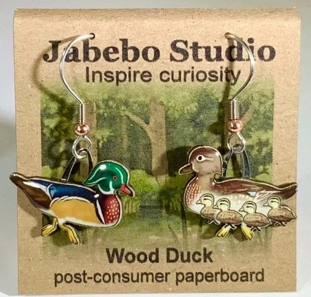 Wood  Duck.jpg