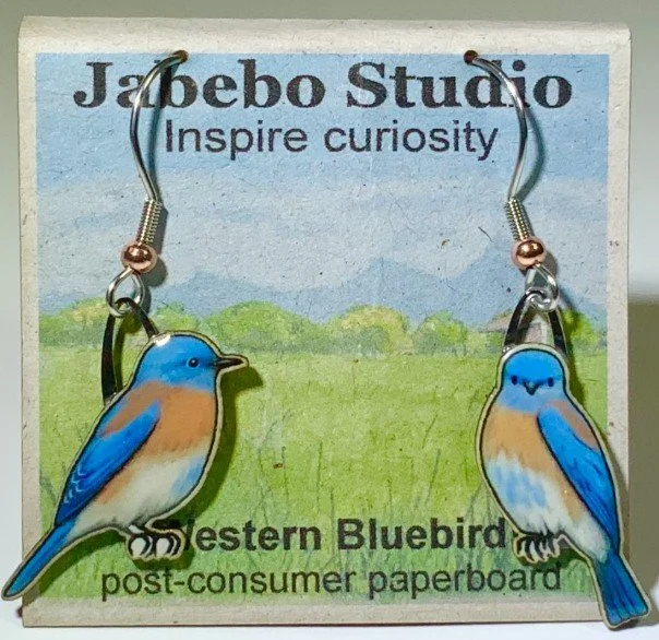Western Bluebird.jpg