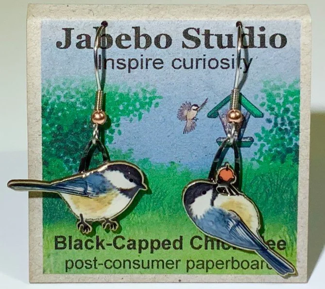 Black-capped Chickadee.jpg
