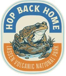 Hop Back Home Sticker Small