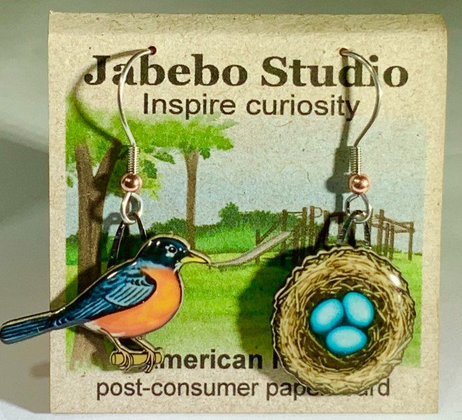 Robin & Nest.jpg