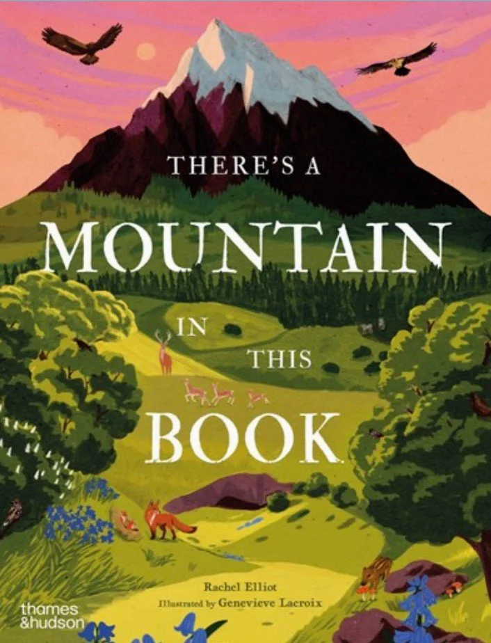 Mountain book cover.jpg