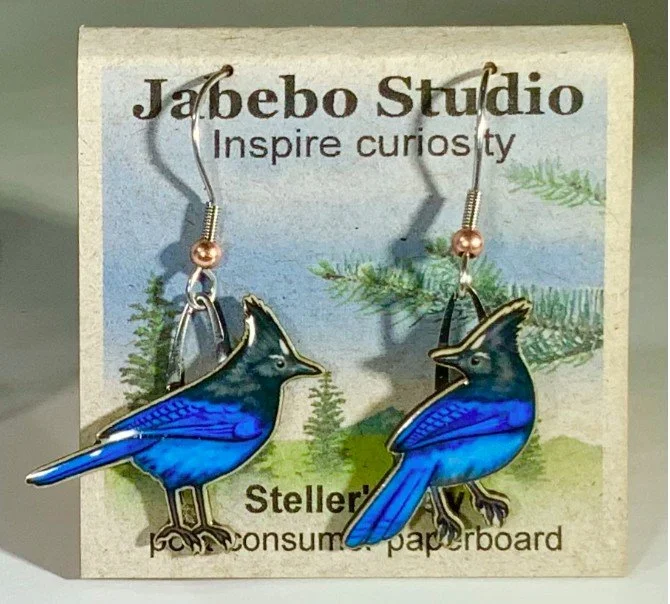 Steller's Jay.jpg