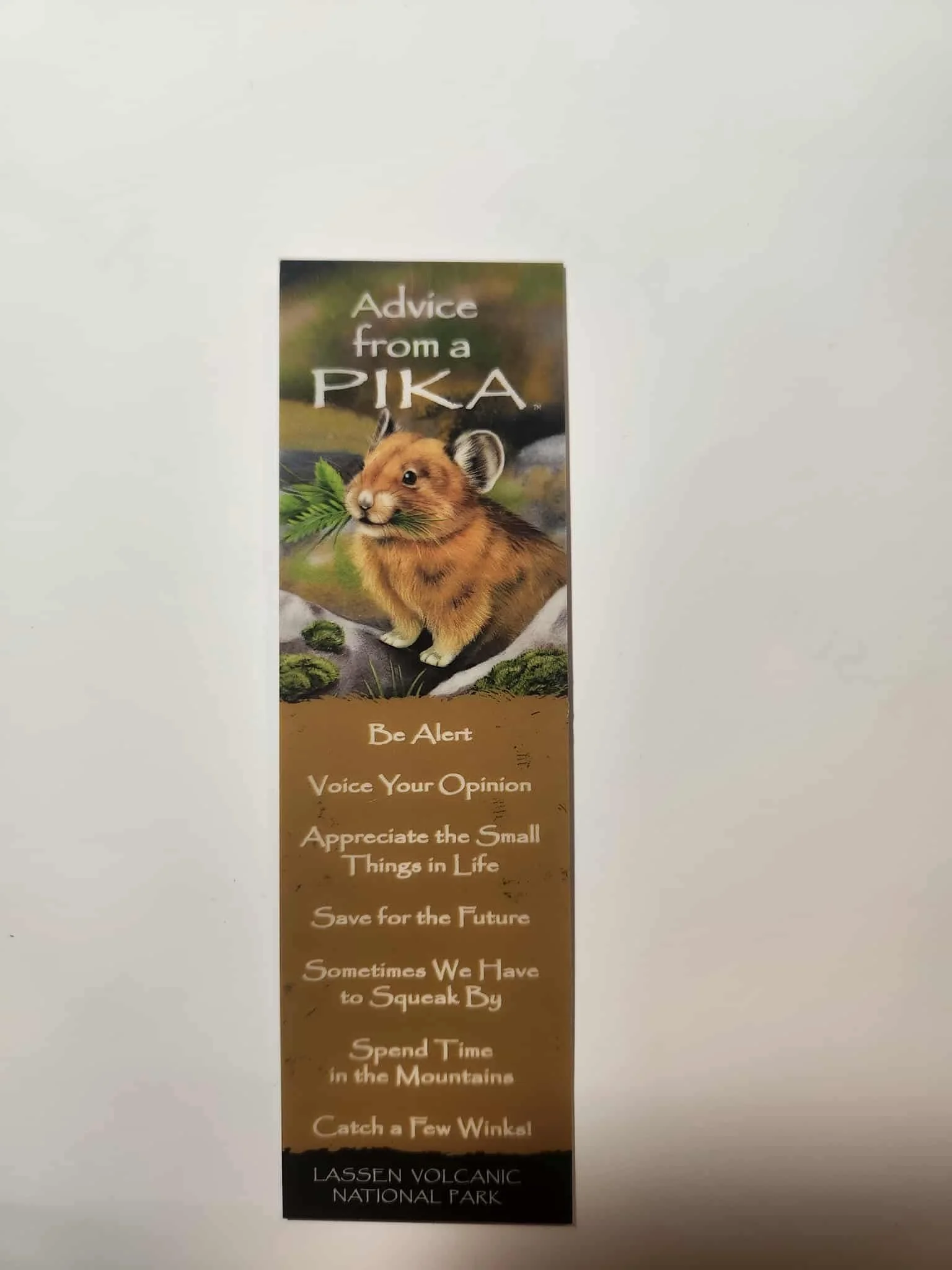 Advice Mini Mark Pika LVNP