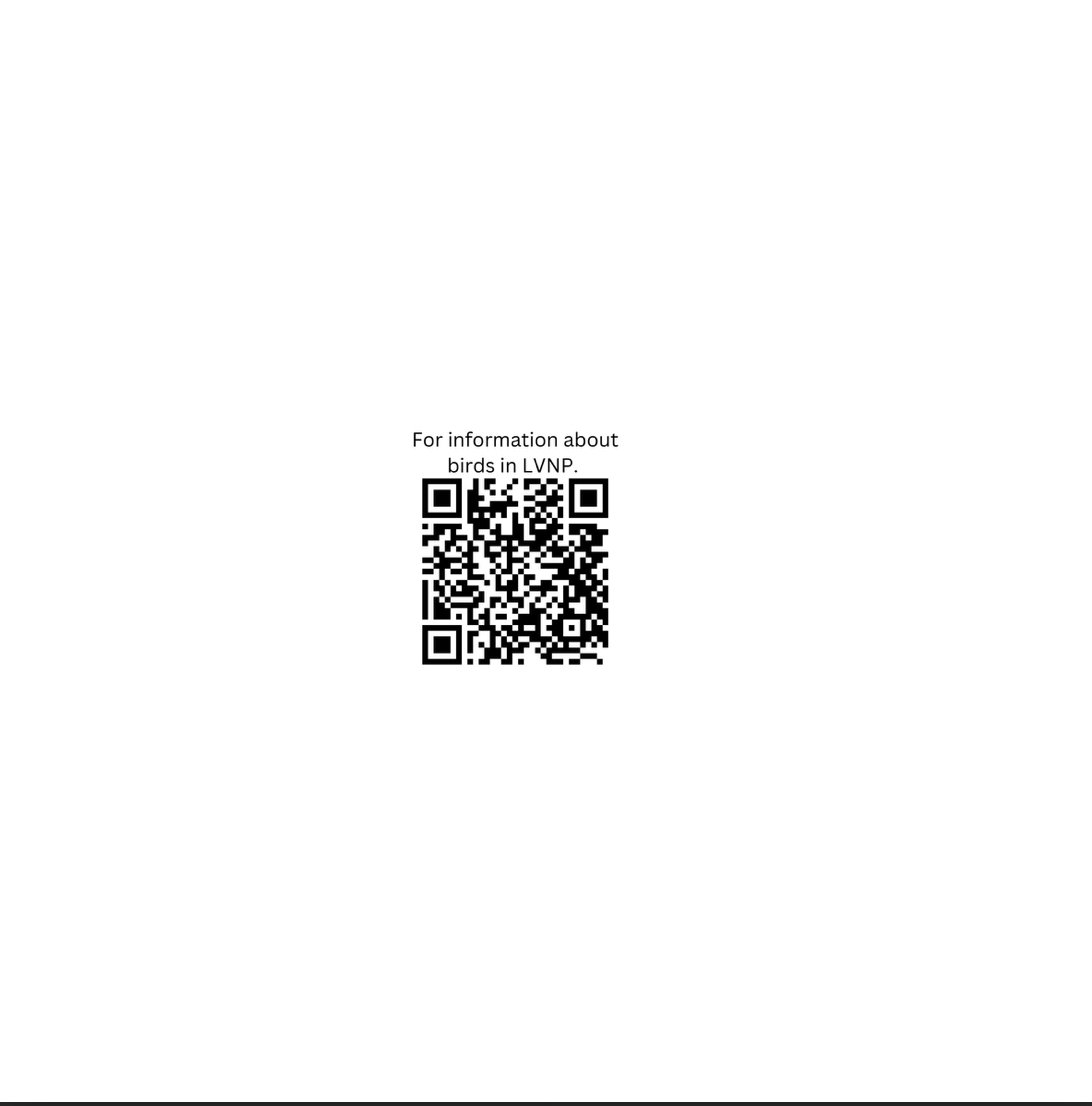 bird qr code.jpg