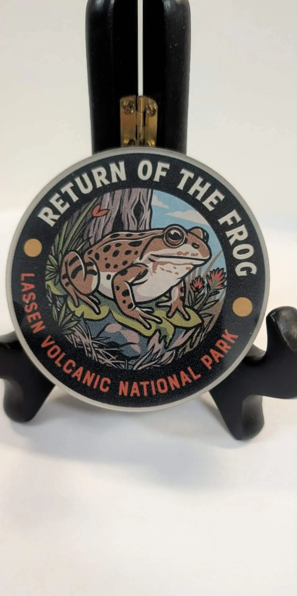 frog mag.jpeg