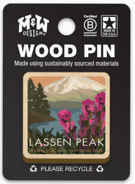 Paintbrush-wood-pin.png