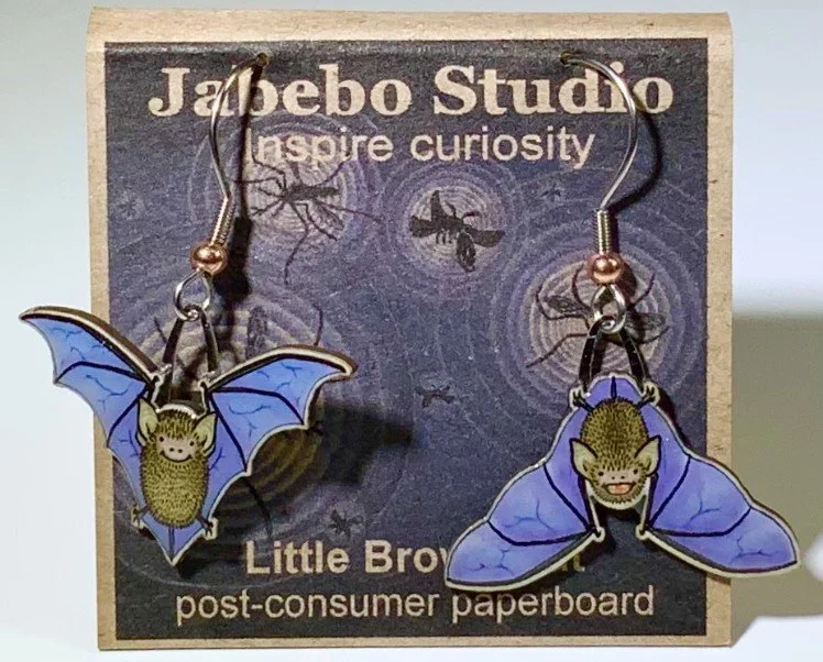 Little Brown Bat.jpg