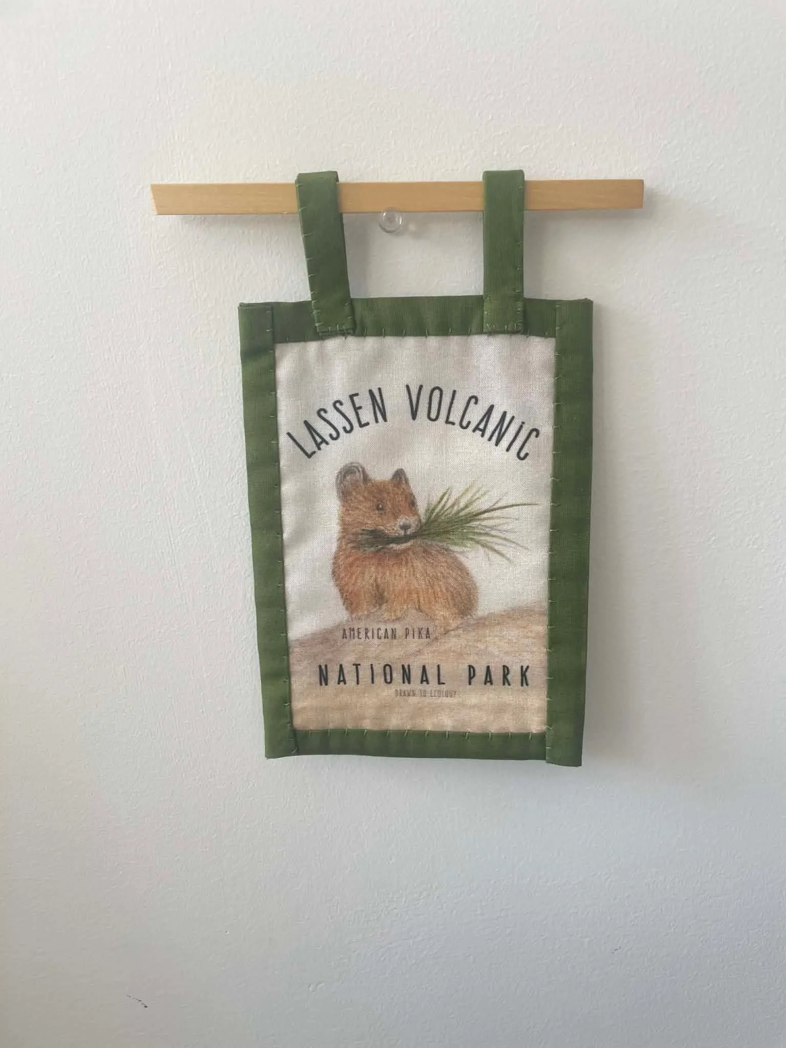 Pika Wall Hanging Kit