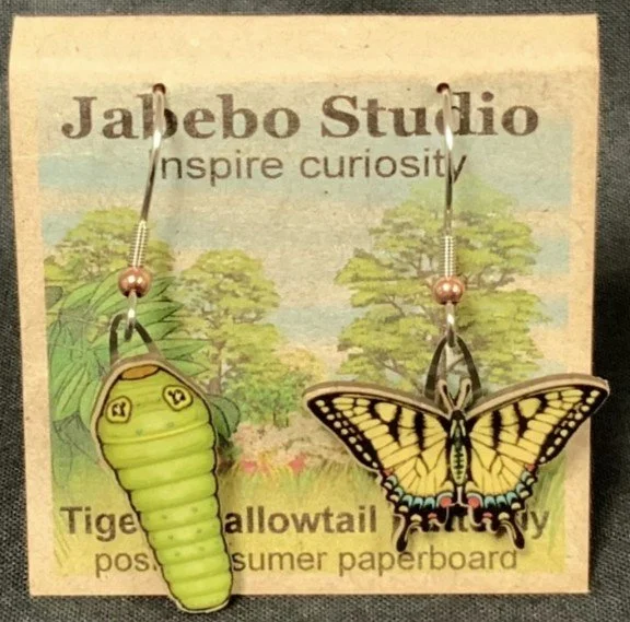 Tiger Swallowtail.jpg