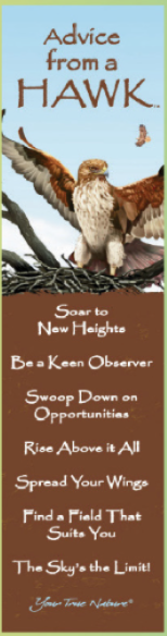 Screenshot 2026-02-13 113237.png