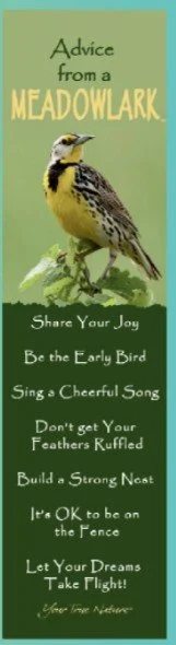 Meadowlark-mini.jpg