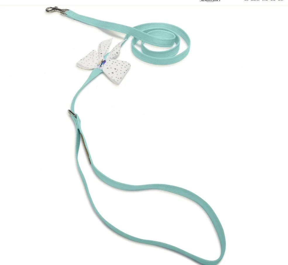 dog-leash-for-sale-florida.jpg