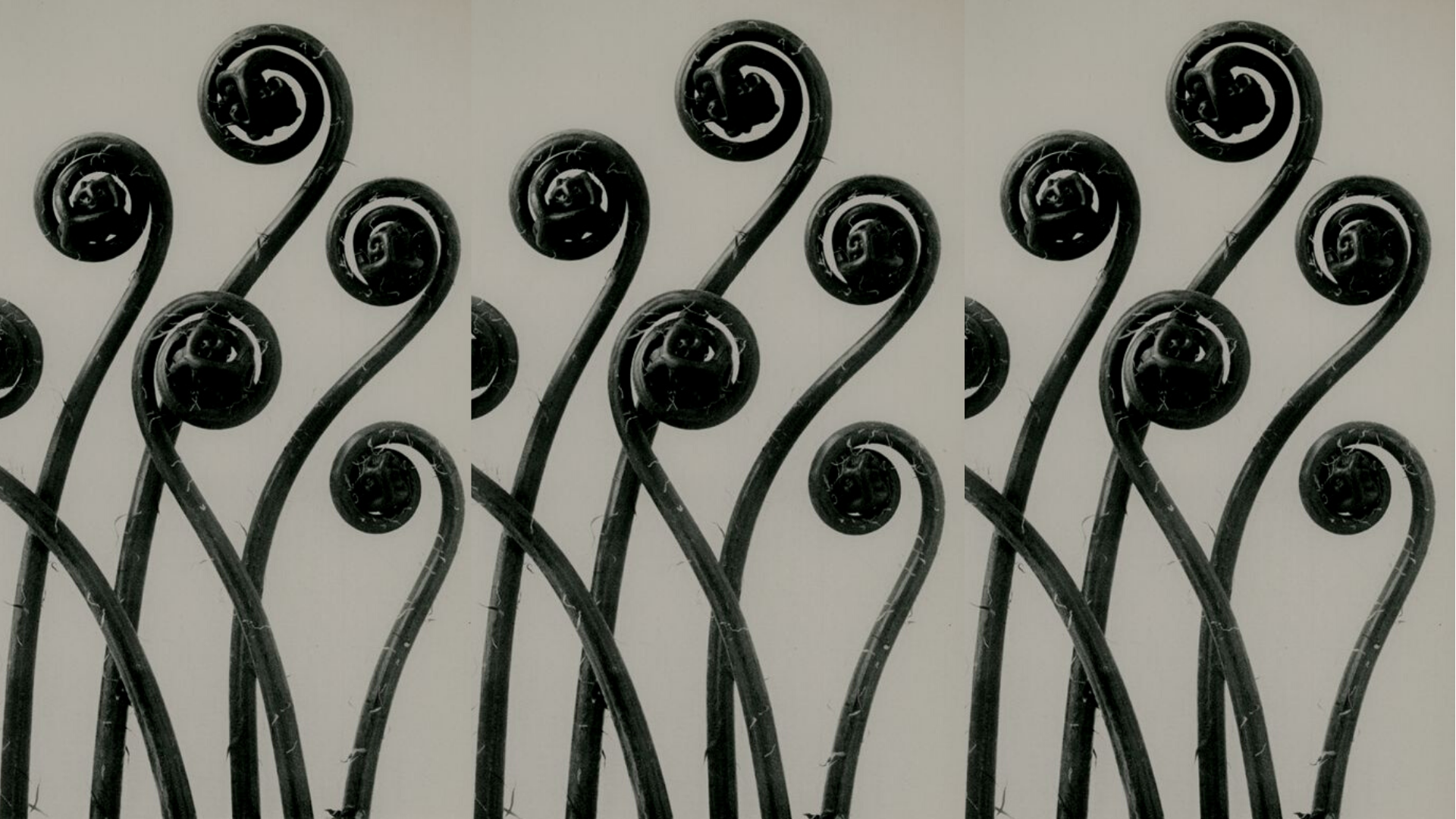 Project Management .png