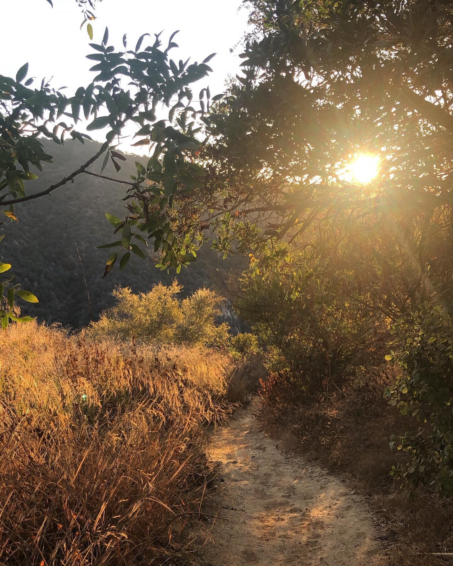 Endlessly grateful for mornings such as these. No matter what is on my heart or weighing me down in any way getting up into these mountains always makes me feel ten times better and so much clearer 🌿