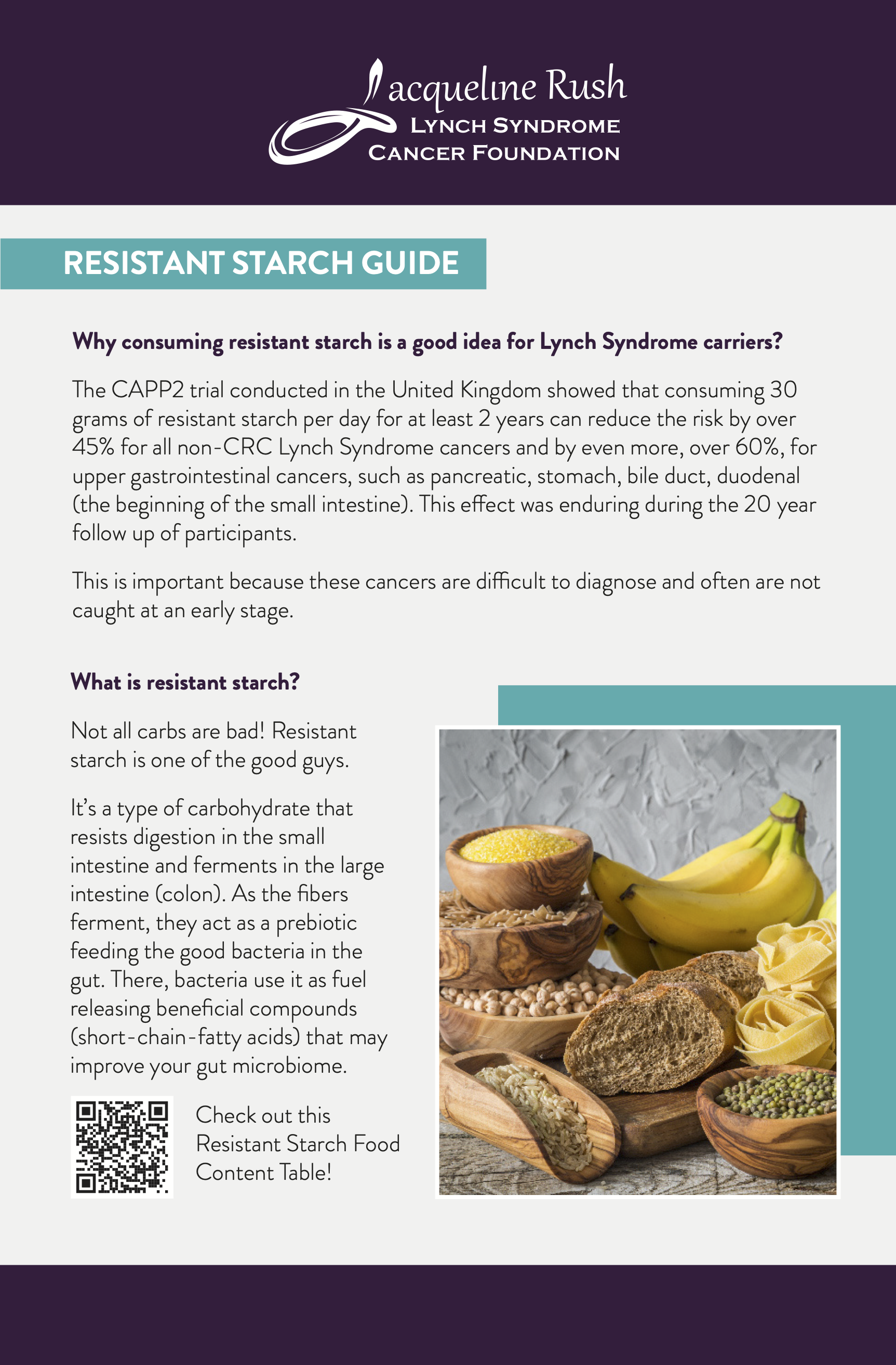 A comprehensive resistant starch guide to help intestinal and gut health
