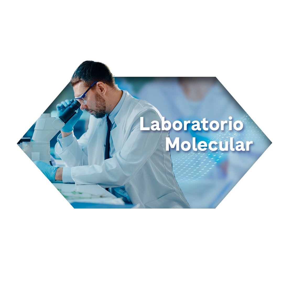 LAB%252BMOOL.png