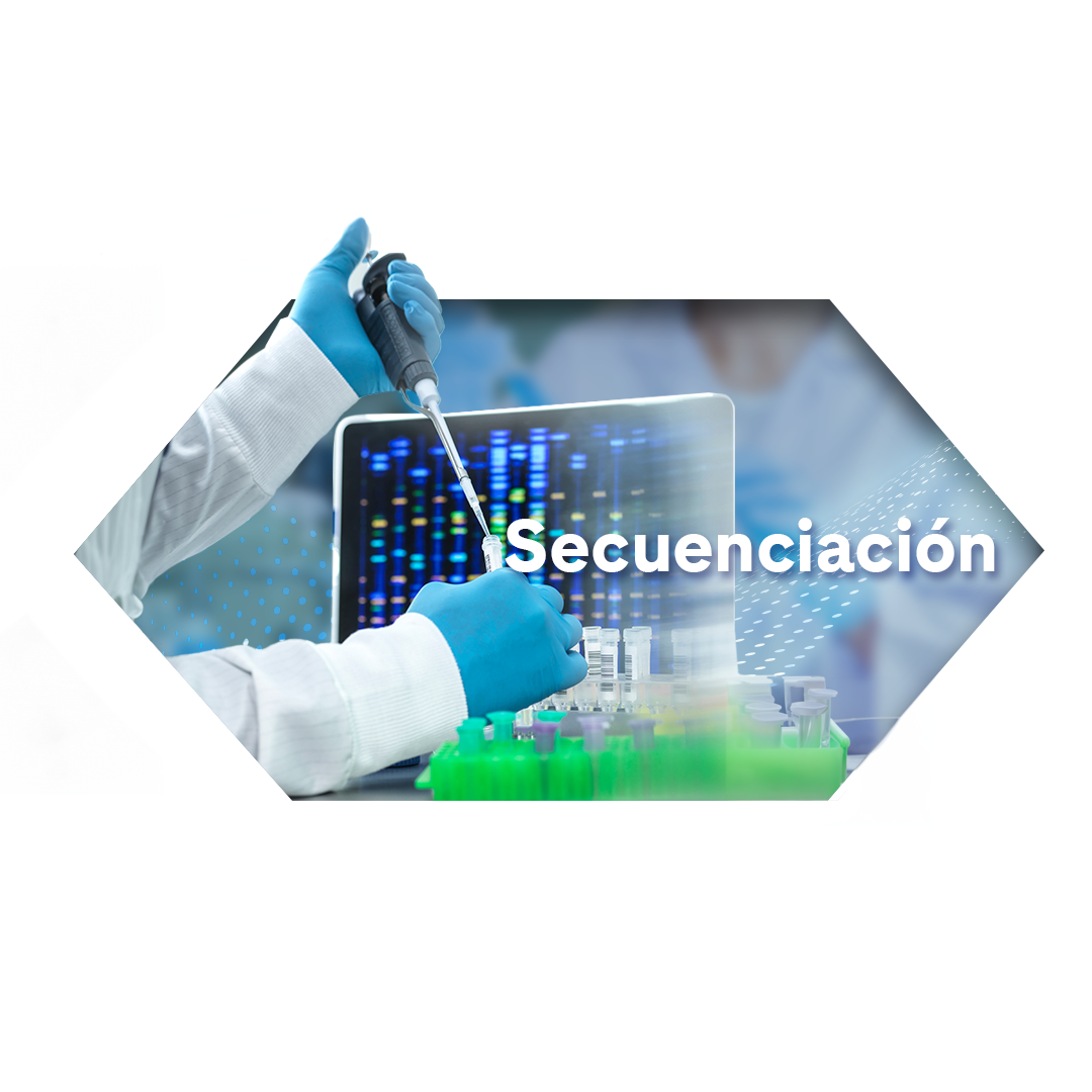 Secuenciacion.png