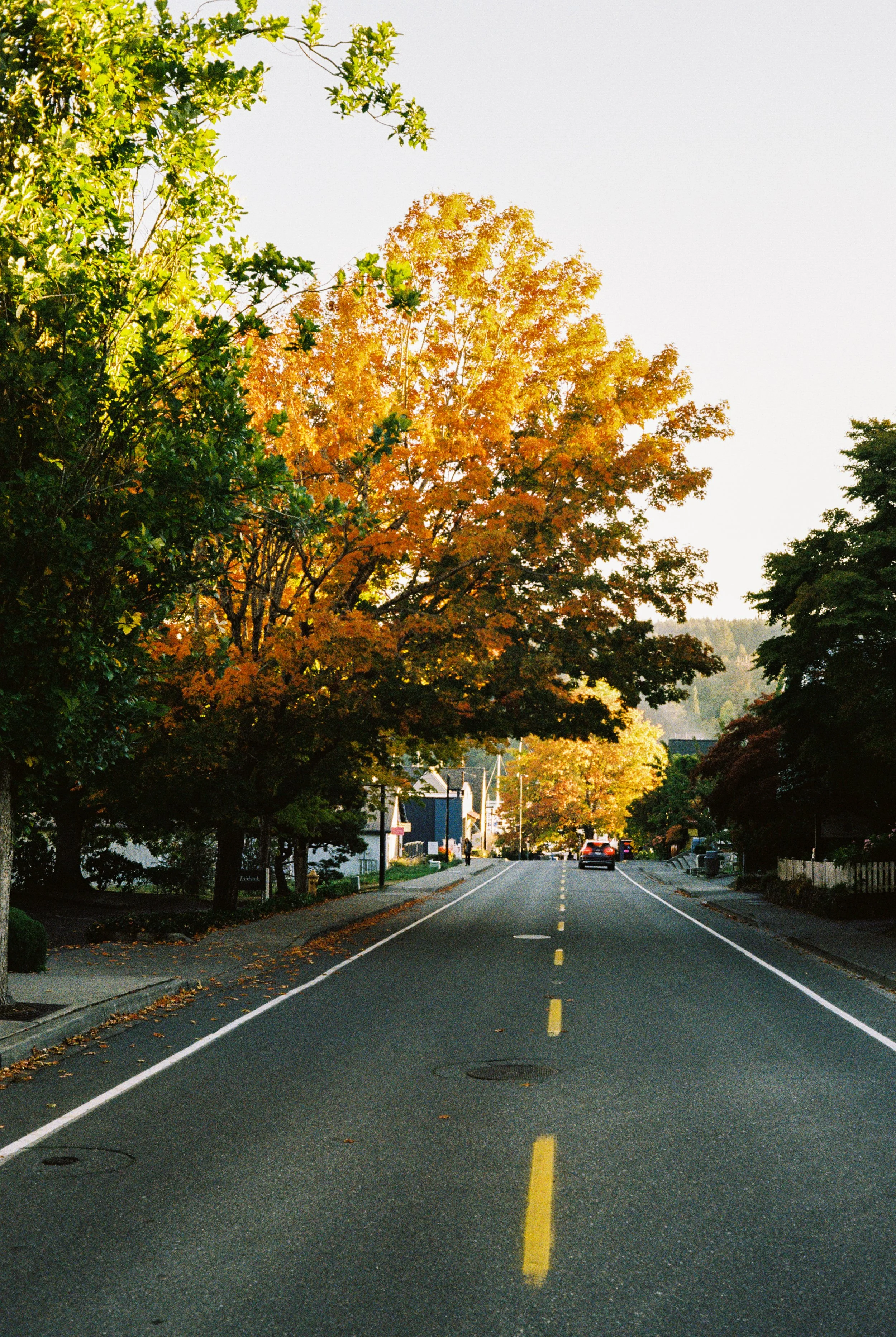 RF2026_Washington-State_FILM-27.jpg