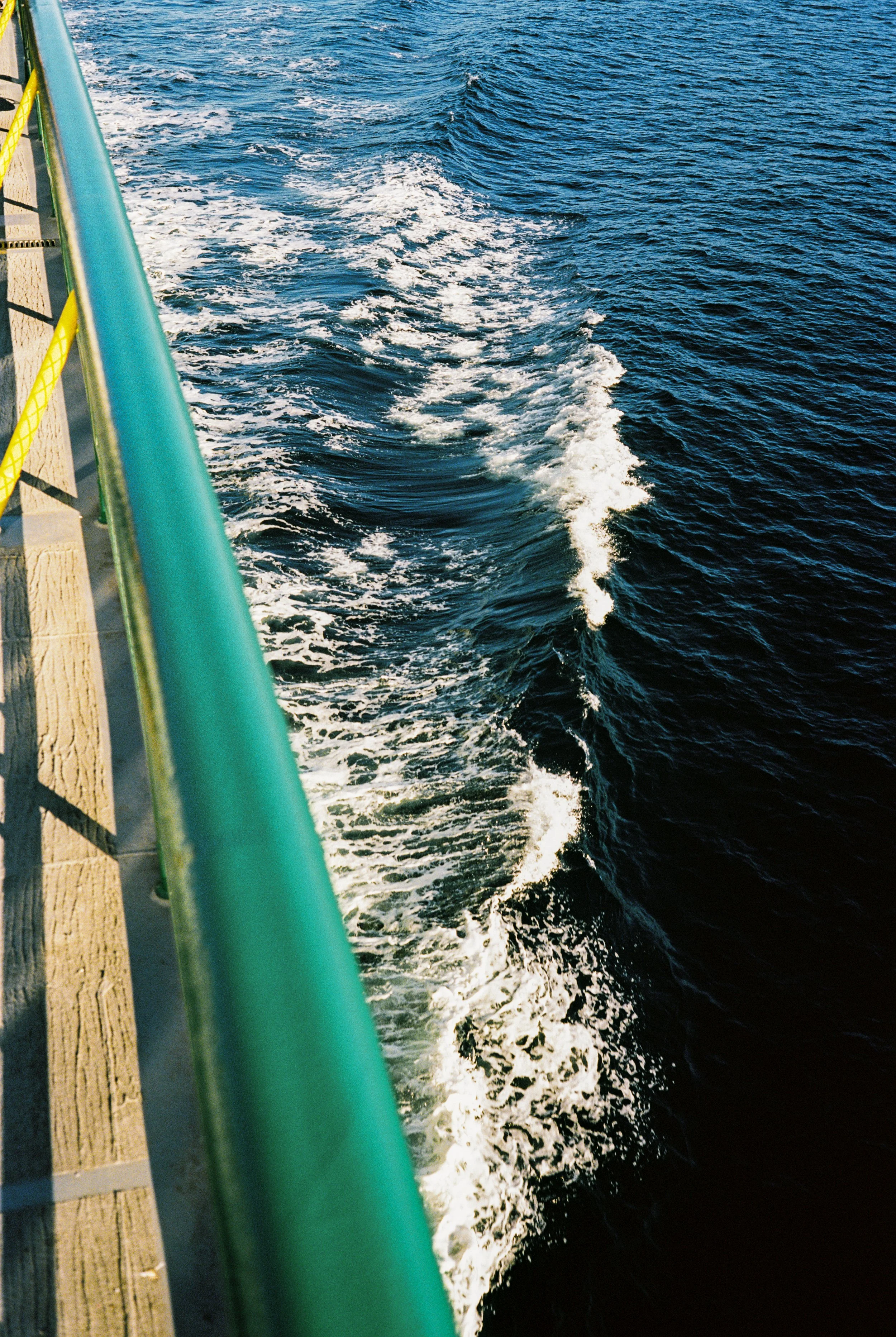 RF2026_Washington-State_FILM-24.jpg
