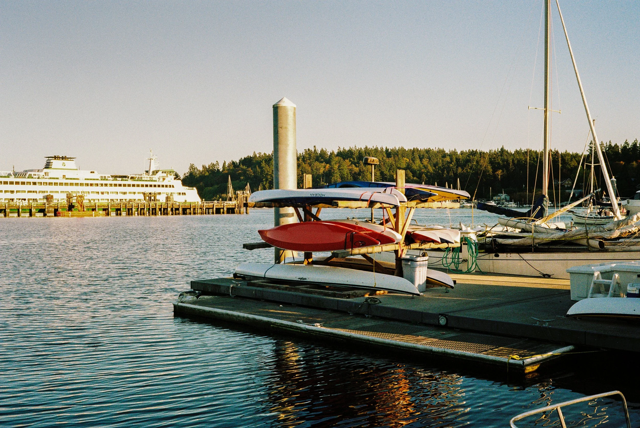 RF2026_Washington-State_FILM-11.jpg