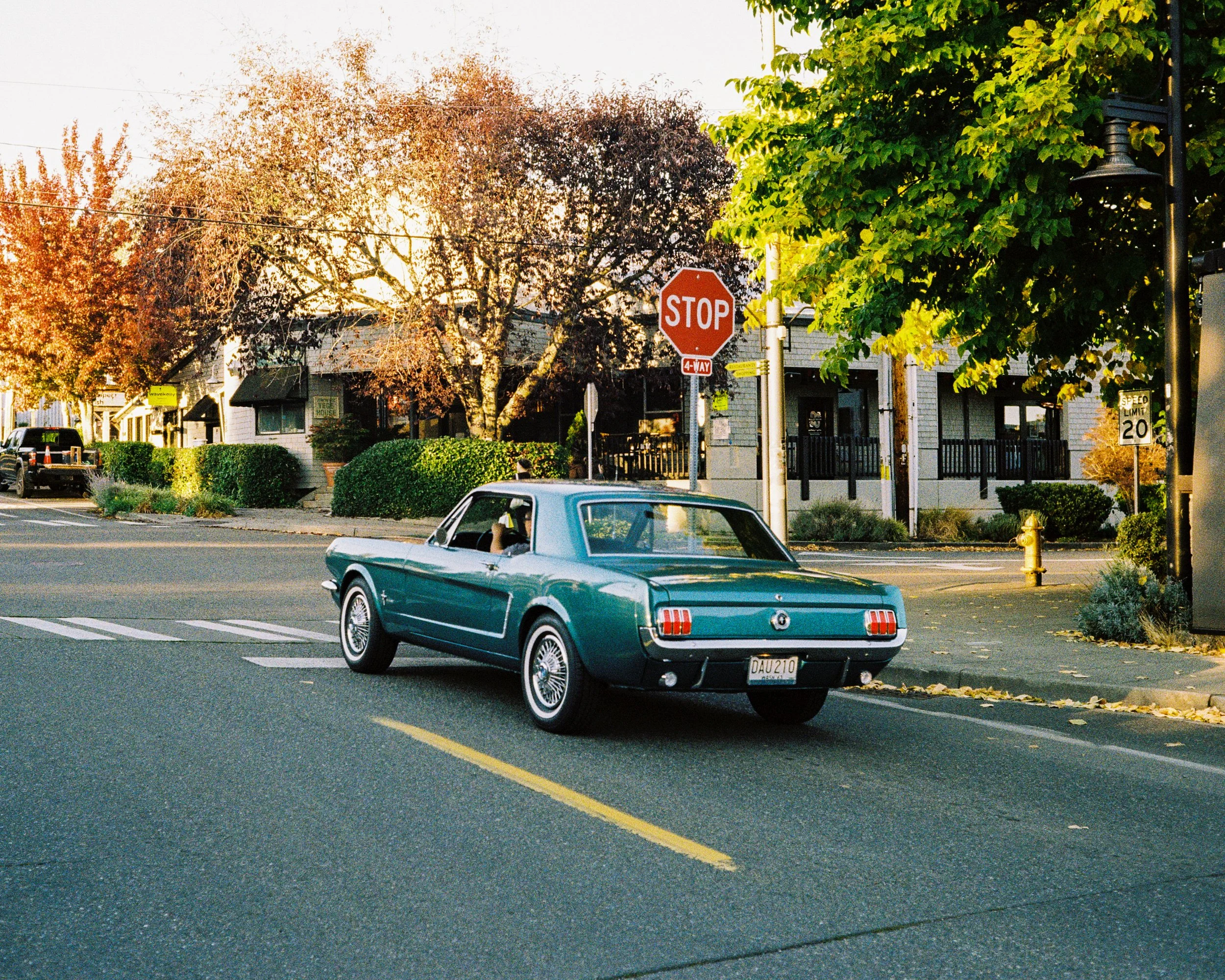 RF2026_Washington-State_FILM-8.jpg
