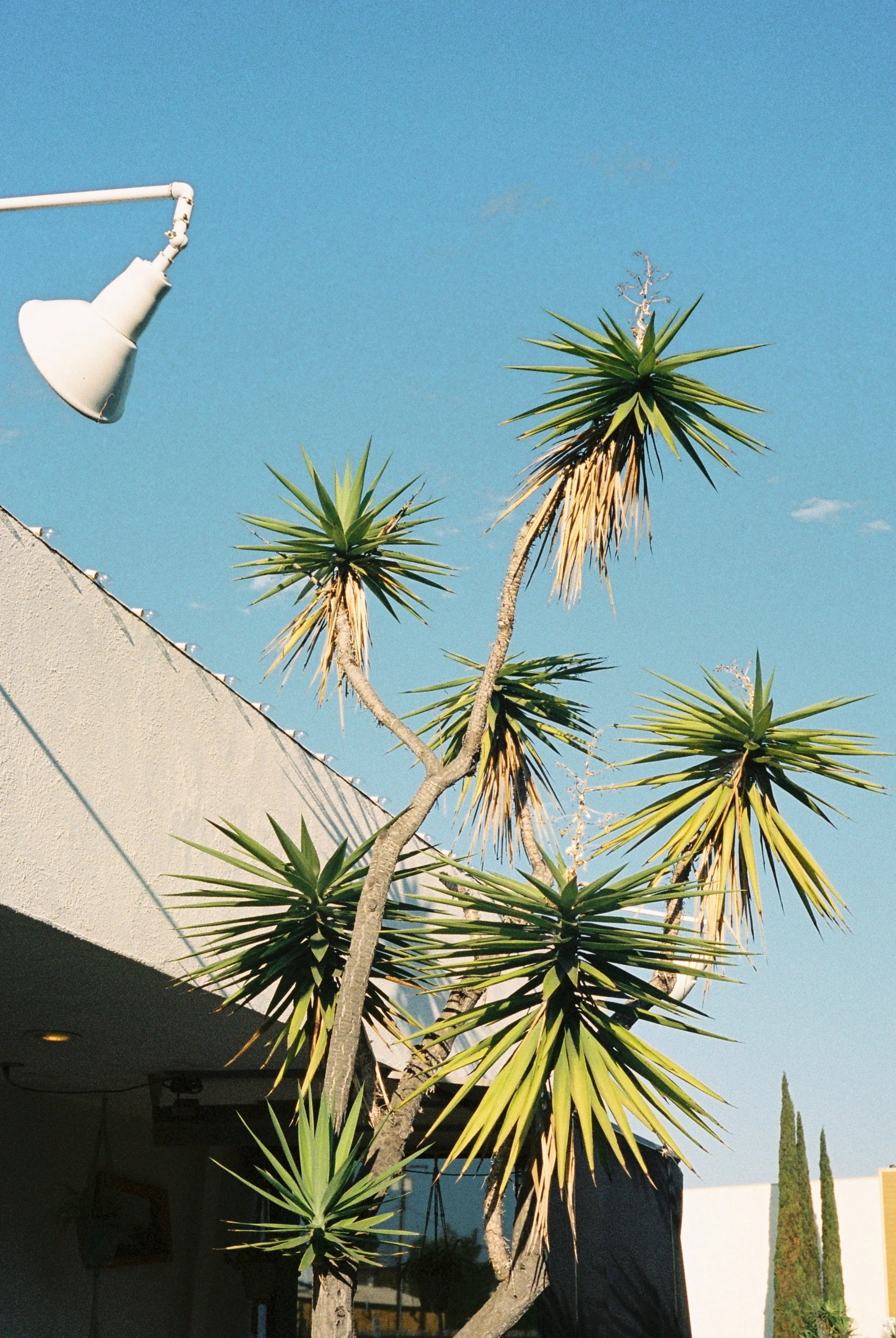RFM_FILM25_-43.jpg