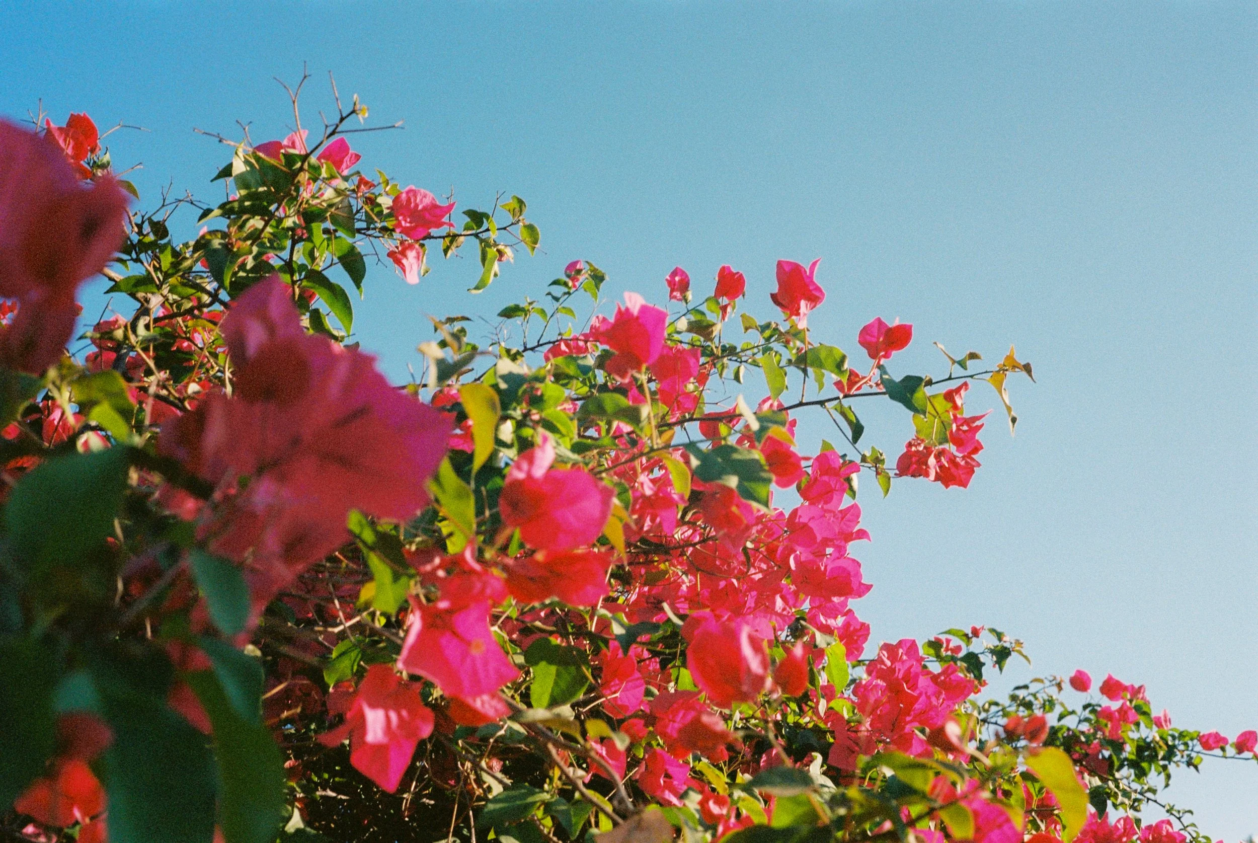 RFM_FILM25_-44.jpg