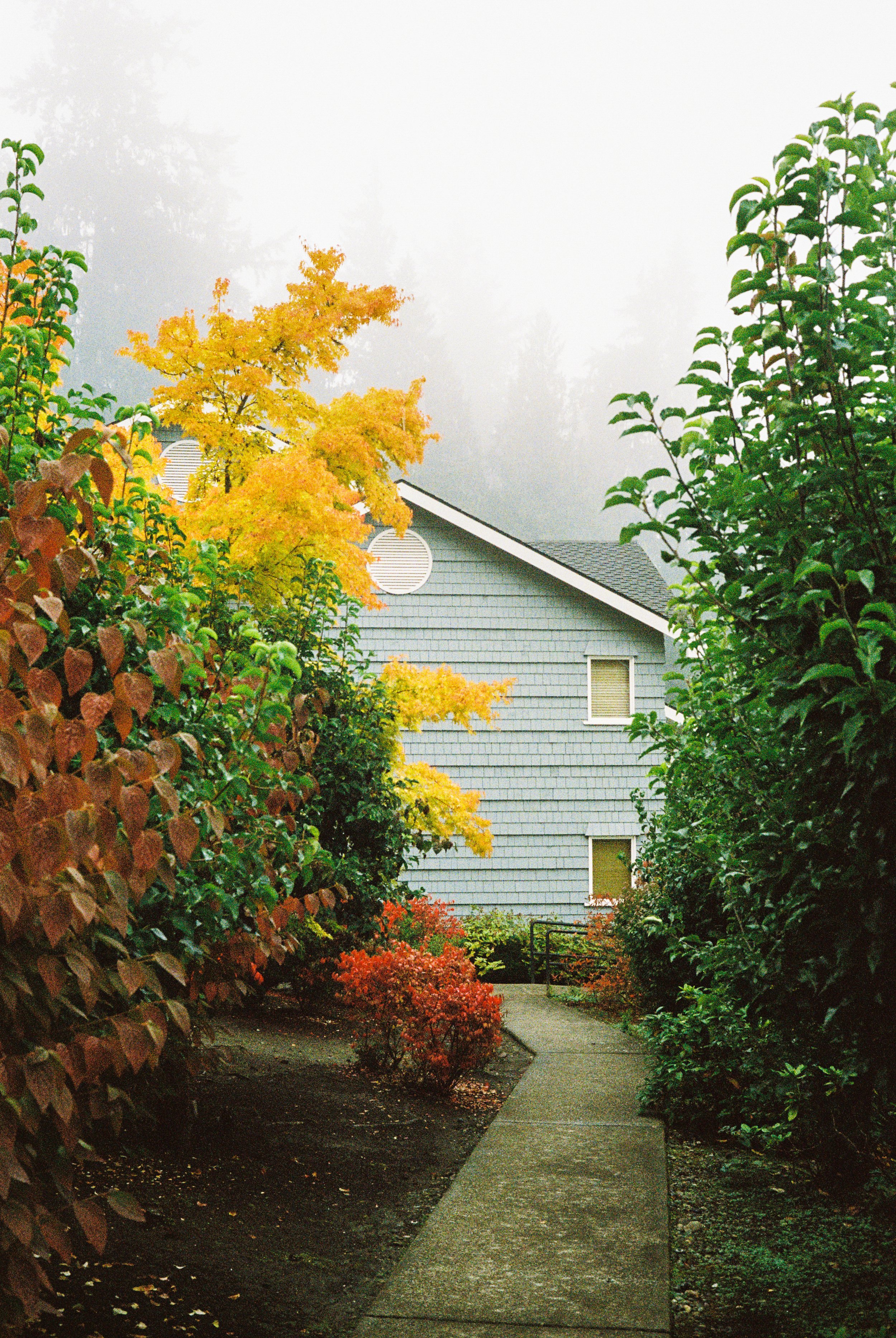 RF2026_Washington-State_FILM-28.jpg